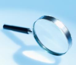 investigate
