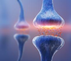 The Nervous System unit cover image