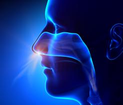 The Respiratory System unit cover image