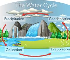 The Water Cycle and Weather unit cover image