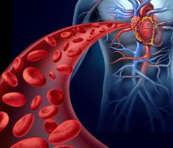 The Circulatory System unit cover image