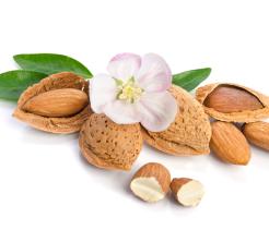 Flowers, Seeds and Fruit, Flowers, Seeds, and Fruits unit cover image