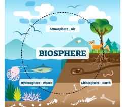 Introduction to the Biosphere, Basics of the Biosphere unit cover image