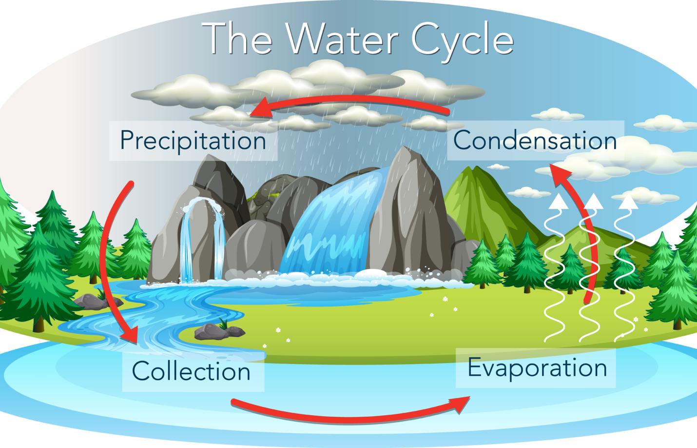 The Water Cycle and Weather unit cover image