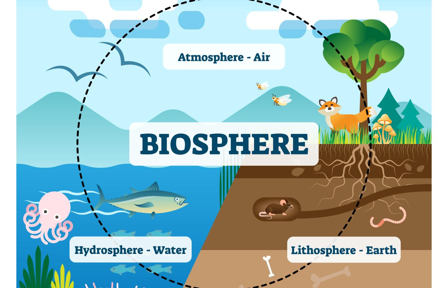 Introduction to the Biosphere, Basics of the Biosphere unit cover image
